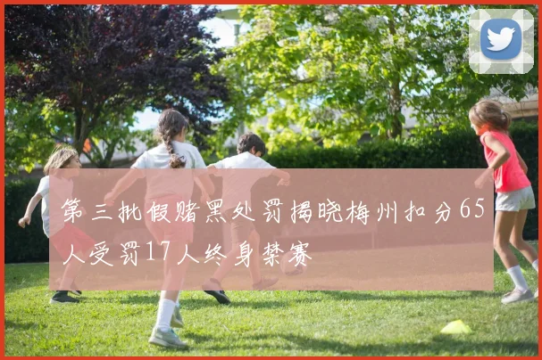 第三批假赌黑处罚揭晓梅州扣分65人受罚17人终身禁赛