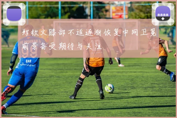 郑钦文膝部不适逐渐恢复中网卫冕前景备受期待与关注