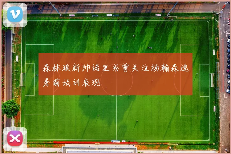森林狼新帅诺里或曾关注杨瀚森选秀前试训表现